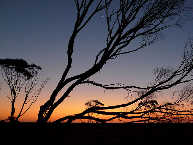 Australian Outback